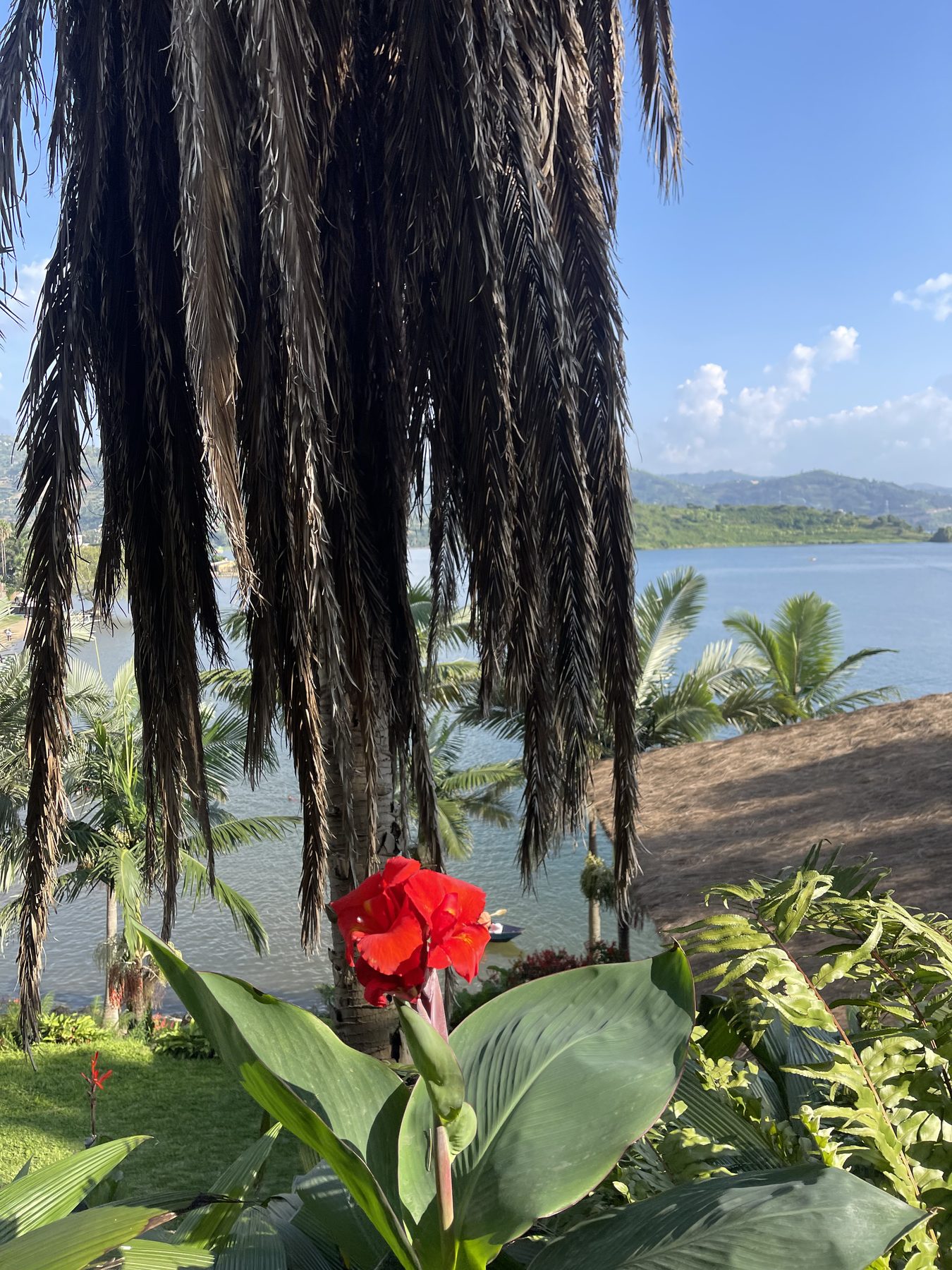 Lakeside garden, Rwanda