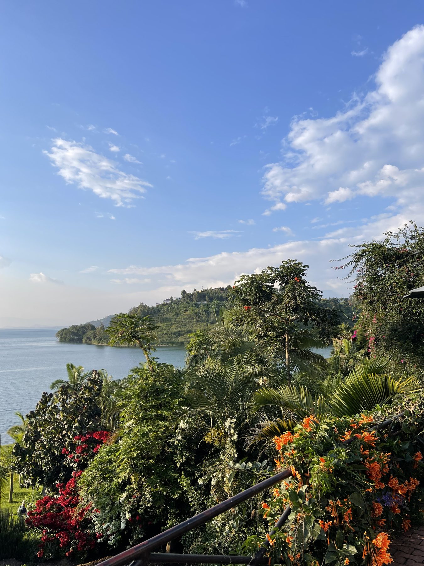 Flowering garden overlooking Lake Kivu in Rwanda